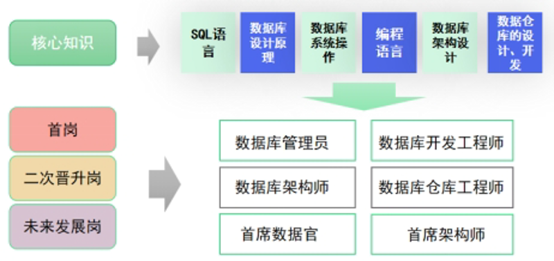 海南软件开发：行业发展的新引擎